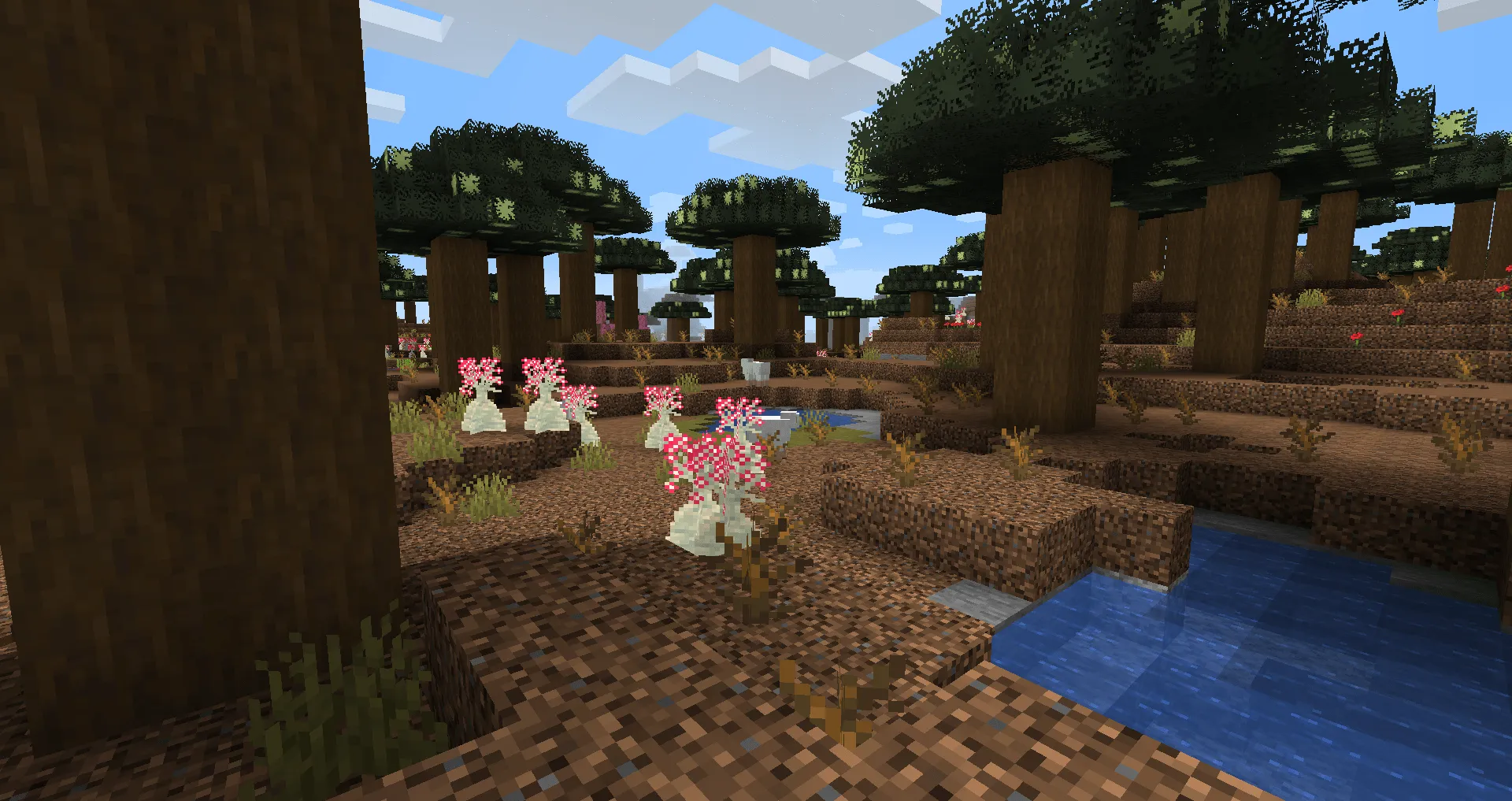 Caio Cesar's Biomes and Seasons, Моды, Minecraft