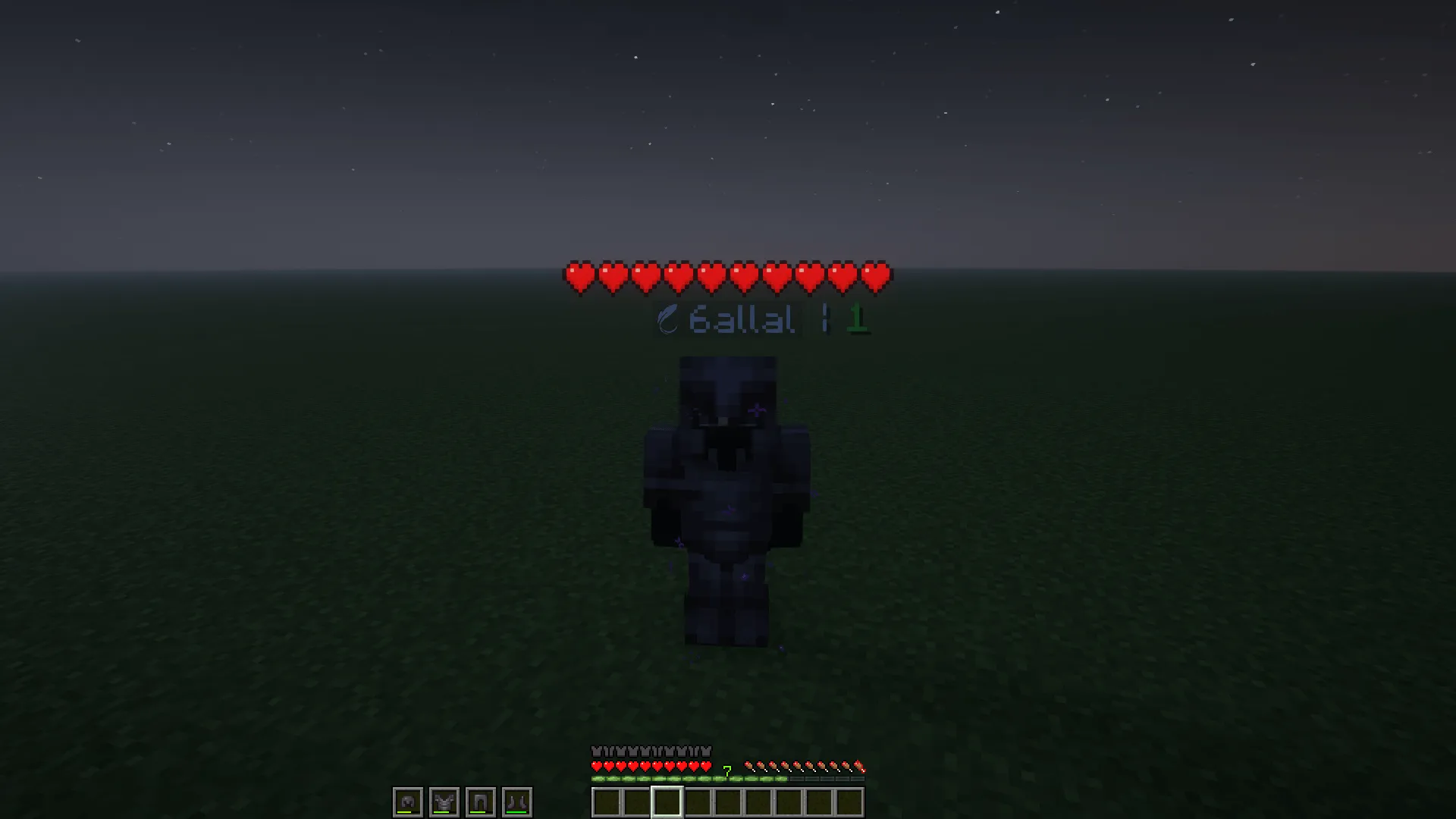 VitalStats, Моды, Minecraft