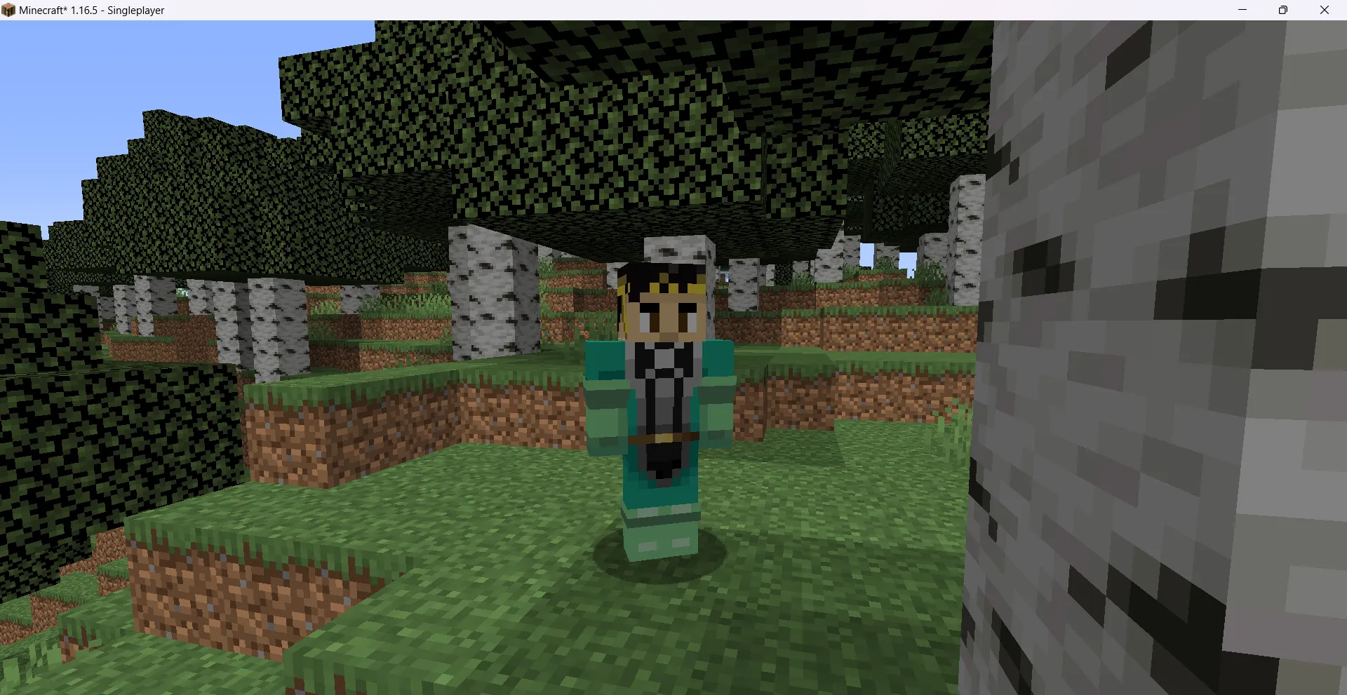 Dragon Craft Quest, Моды, Minecraft