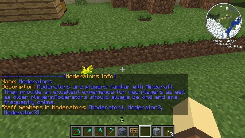 Staff Info, Плагины, Minecraft