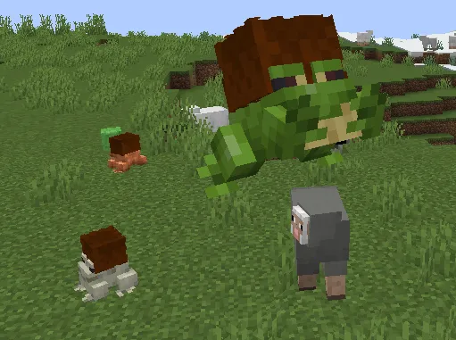 Zio's frogs, Текстуры, Minecraft