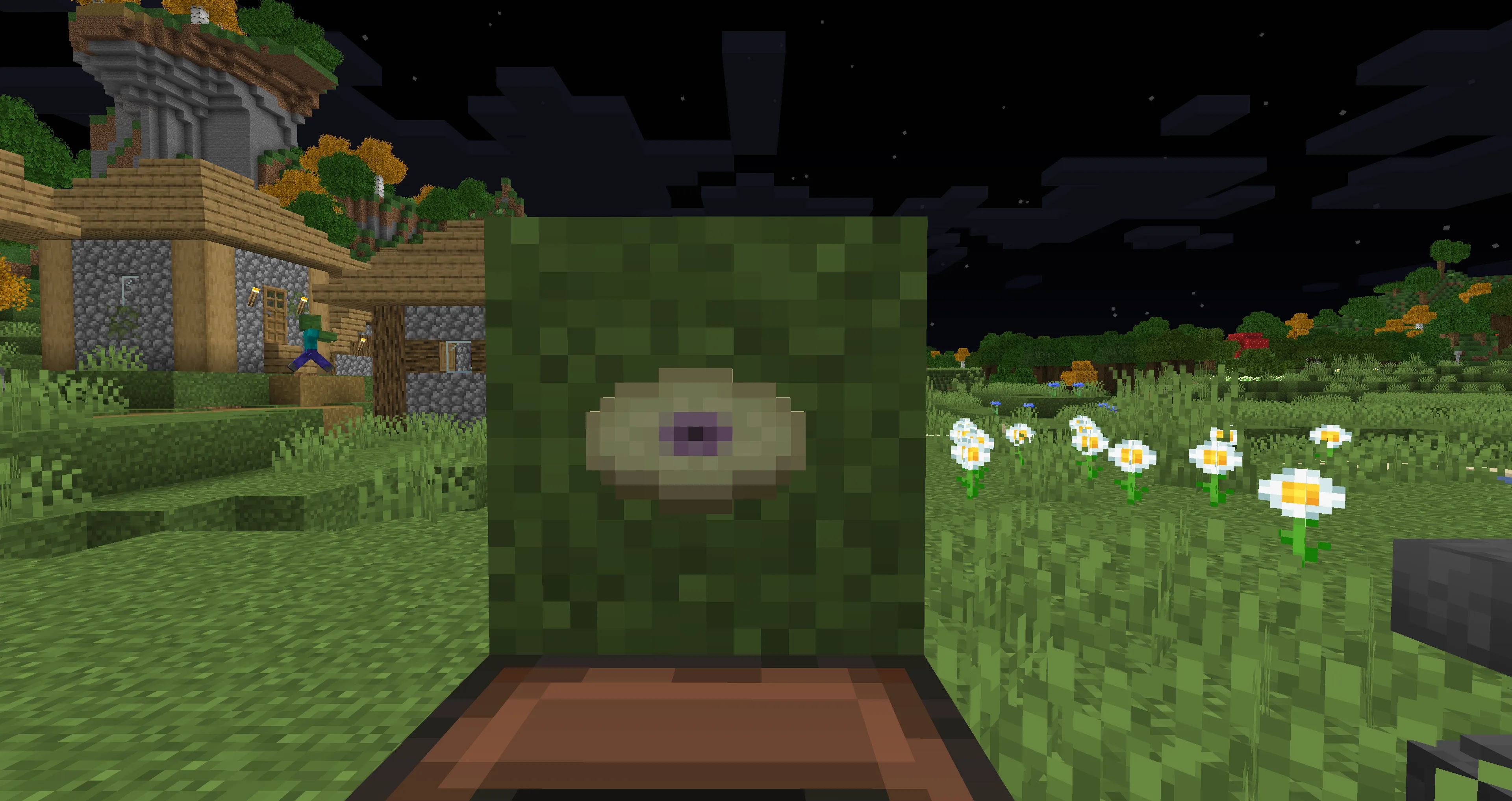 Shulk Disc, Текстуры, Minecraft