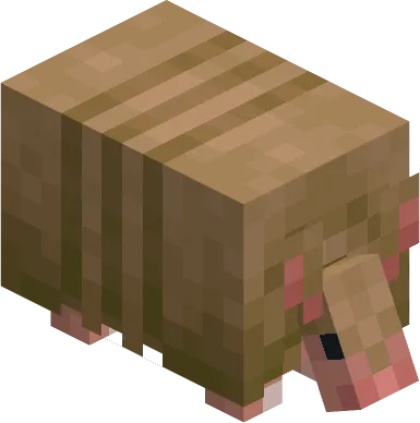 Varied Armadillos, Текстуры, Minecraft
