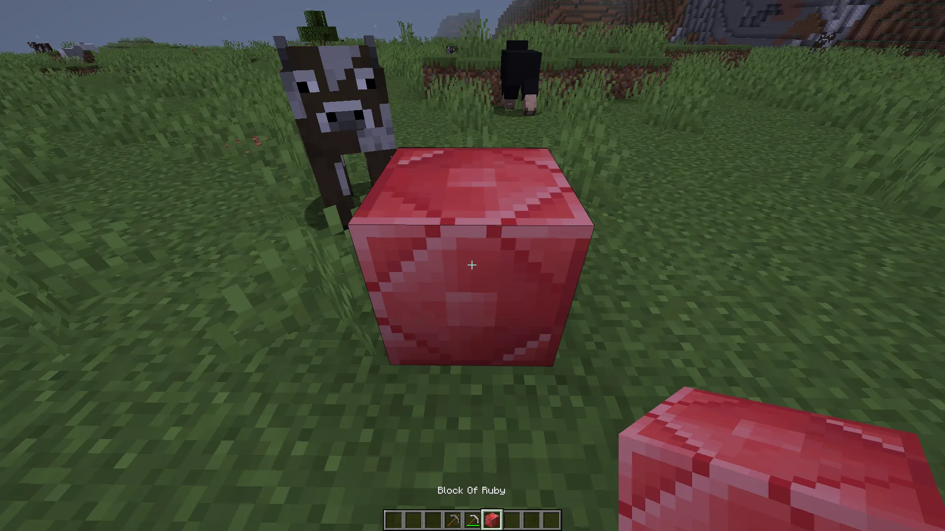 InventoryBits, Моды, Minecraft