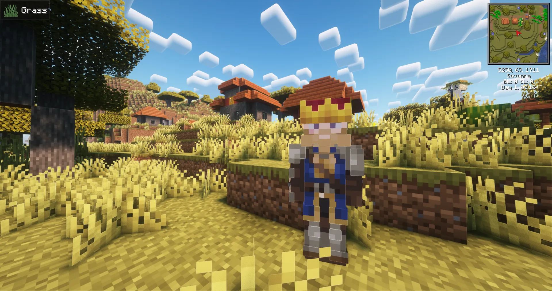 RPG Stylish Player Villagers, Текстуры, Minecraft