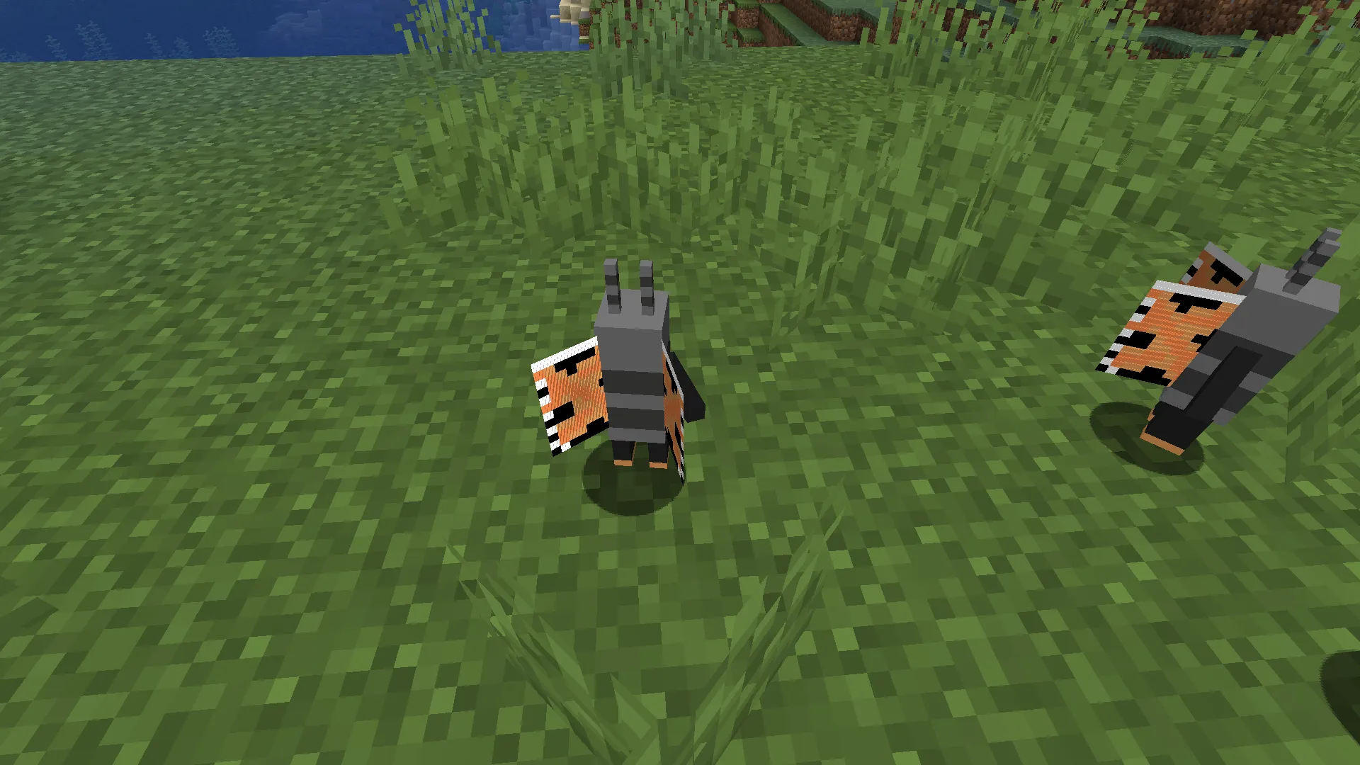 Butterfly Bliss, Моды, Minecraft