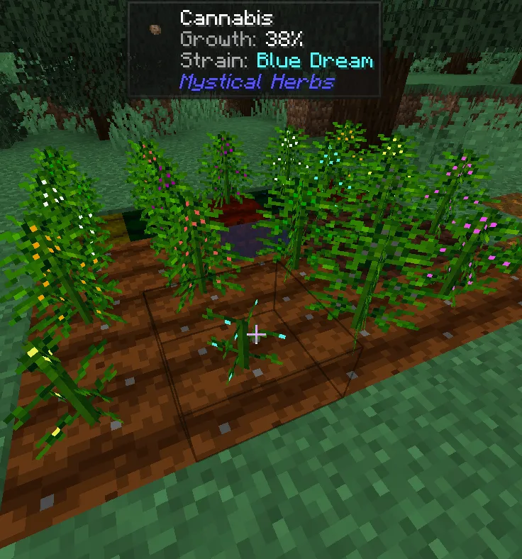 Mystical Herbs (Stand-alone), Моды, Minecraft