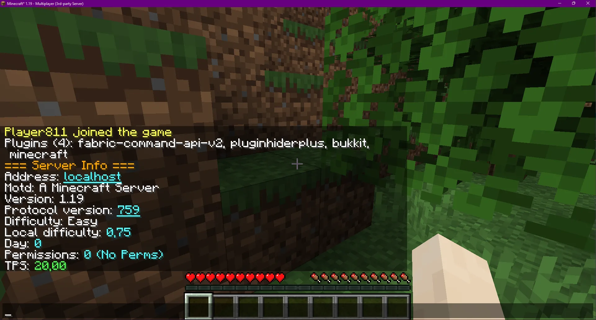 Server Info command, Моды, Minecraft