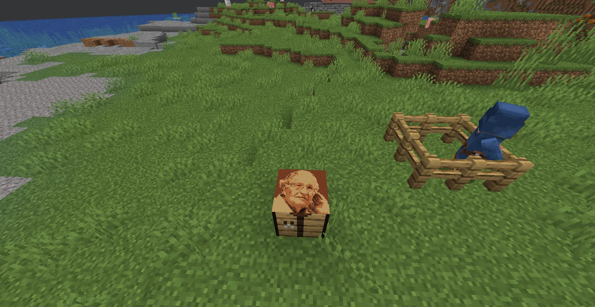 Crazy for Noam — скриншот 2 (Текстуры, Minecraft)