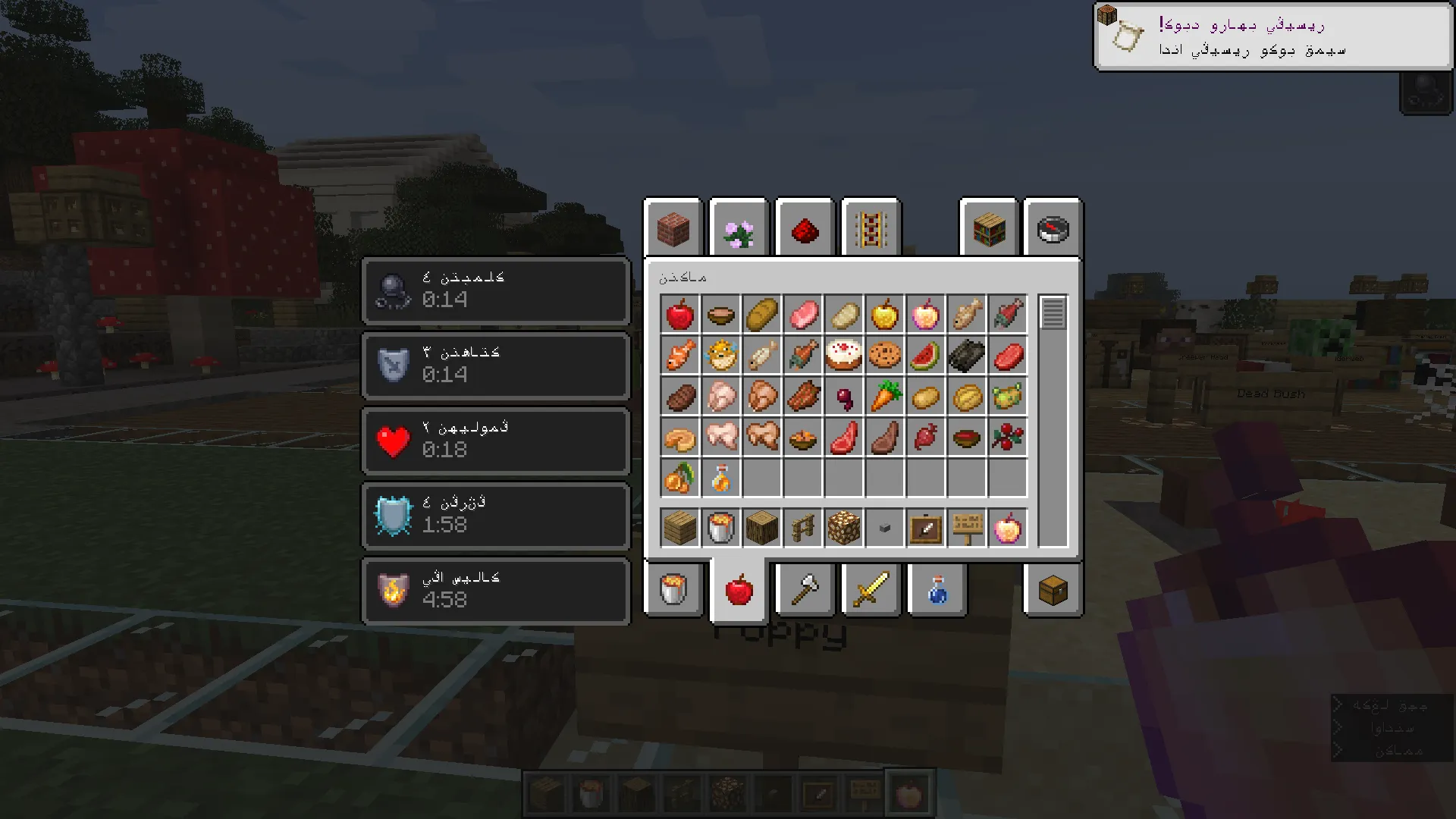 JawiCraft Language Pack — скриншот 12 (Текстуры, Minecraft)