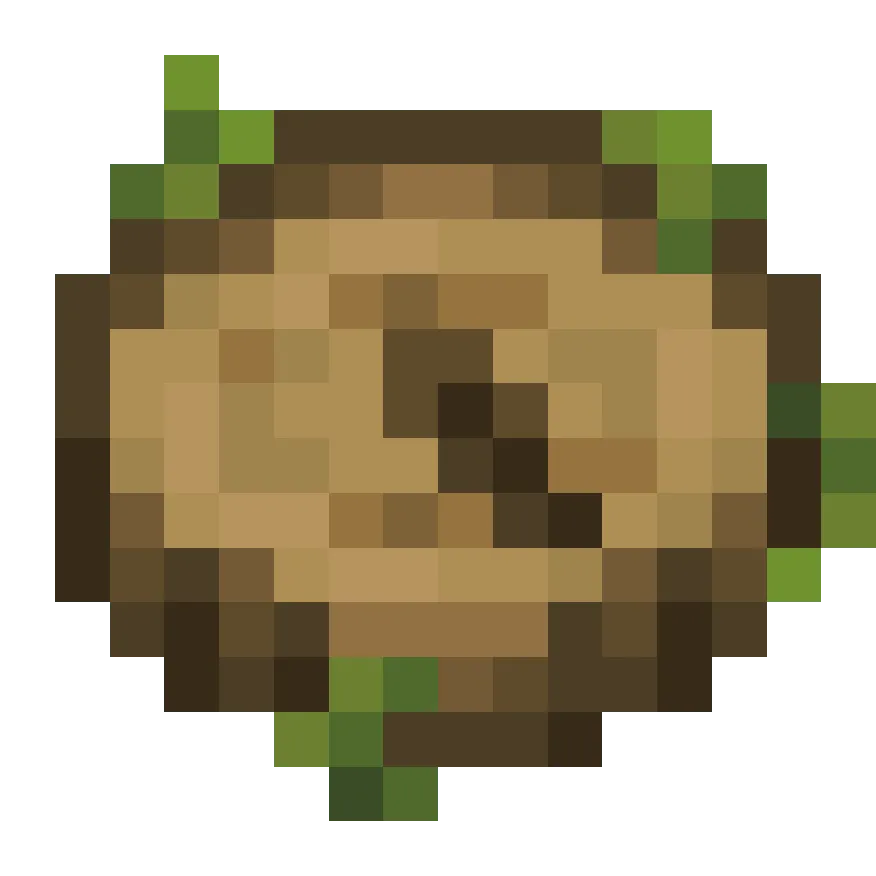 Fresh Nature's Compass, Текстуры, Minecraft