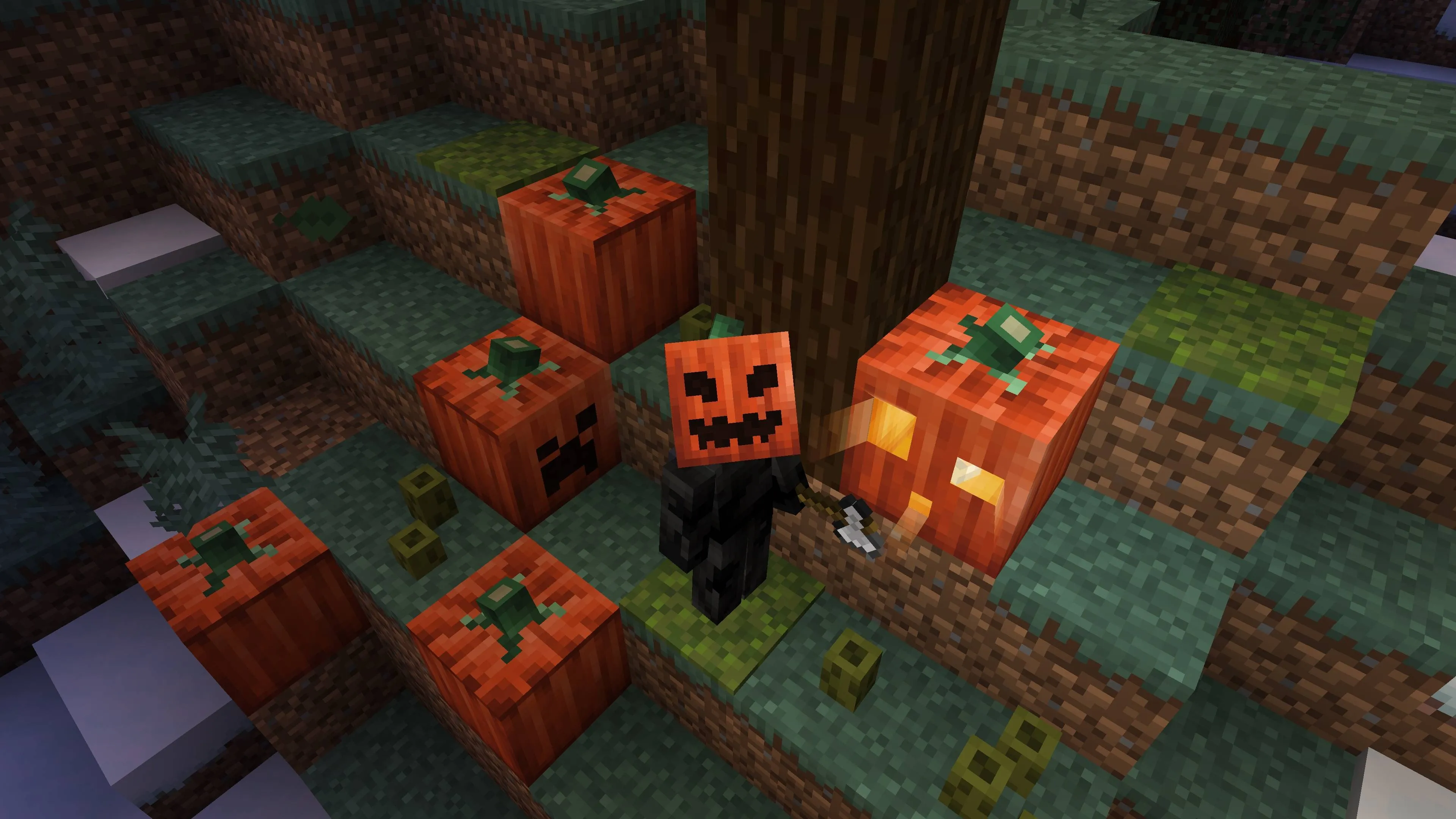 Light Leak, Текстуры, Minecraft