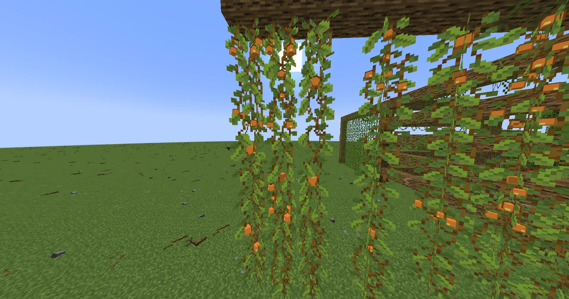 Musgo, Текстуры, Minecraft