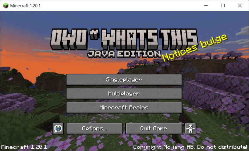 OwO What's This, Текстуры, Minecraft