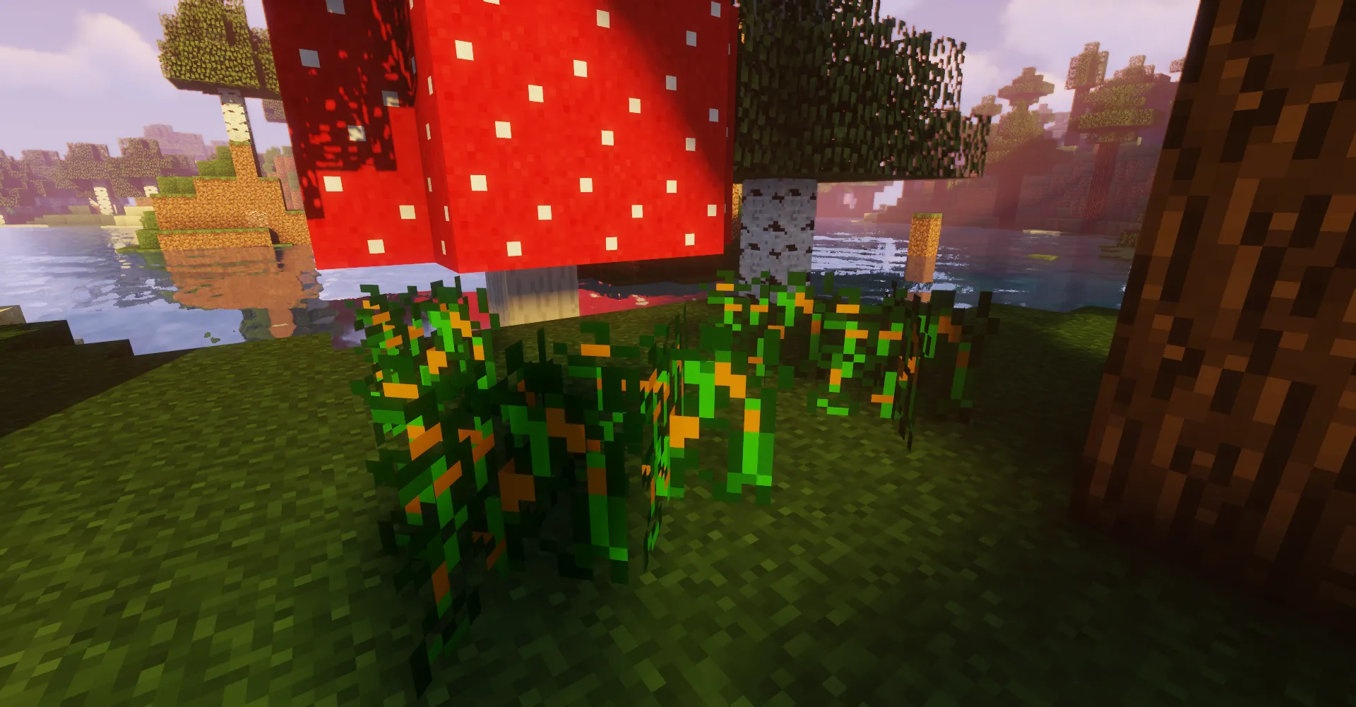 BetterBeanMod, Моды, Minecraft