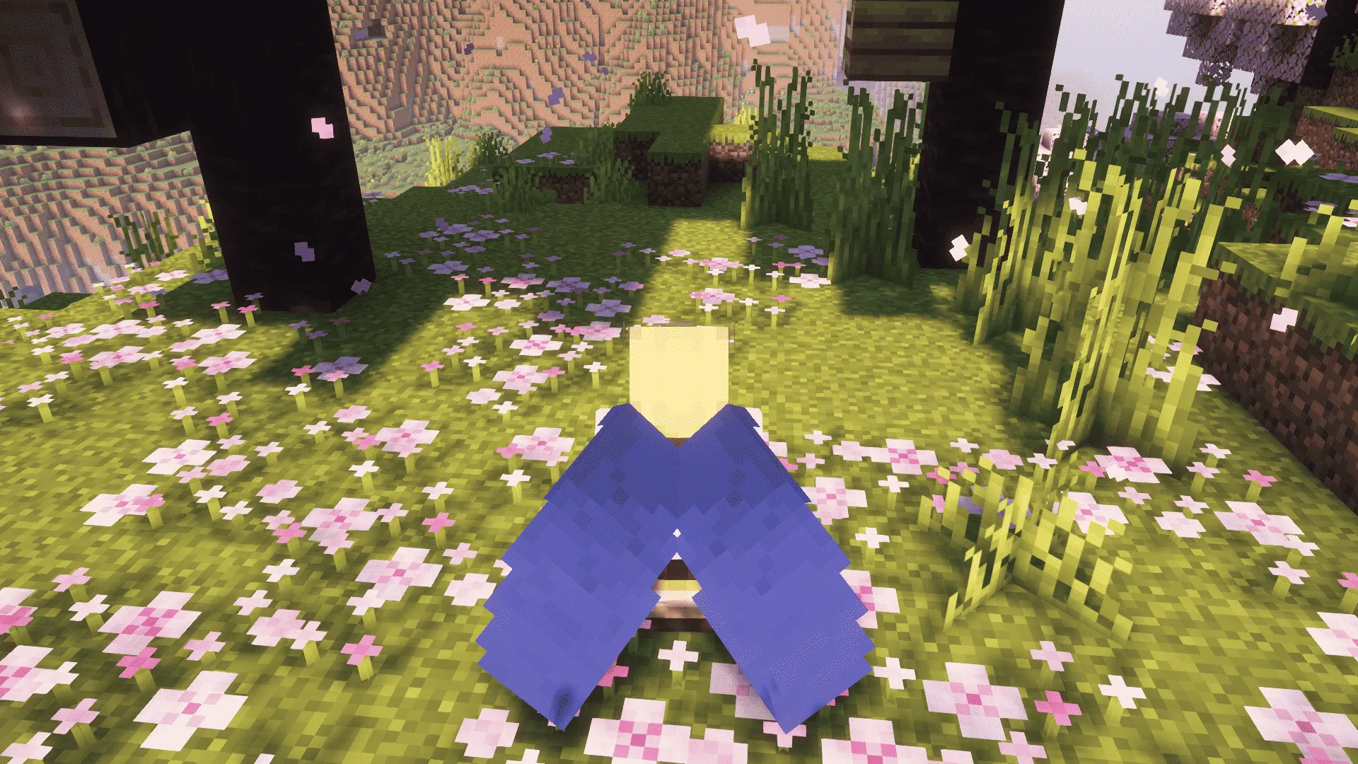 Blueberry Flavour, Текстуры, Minecraft