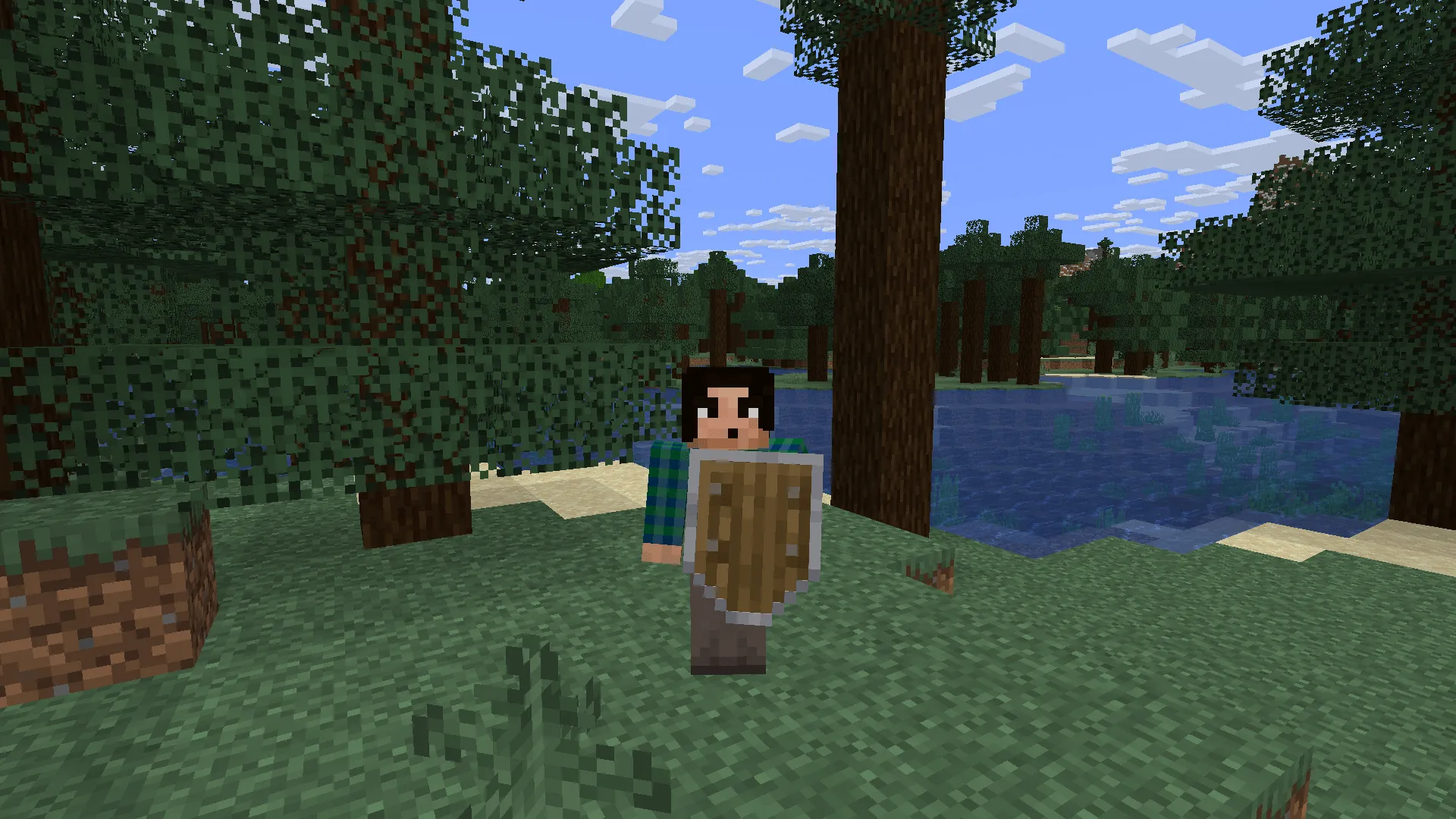 Simple Kite Shield, Текстуры, Minecraft