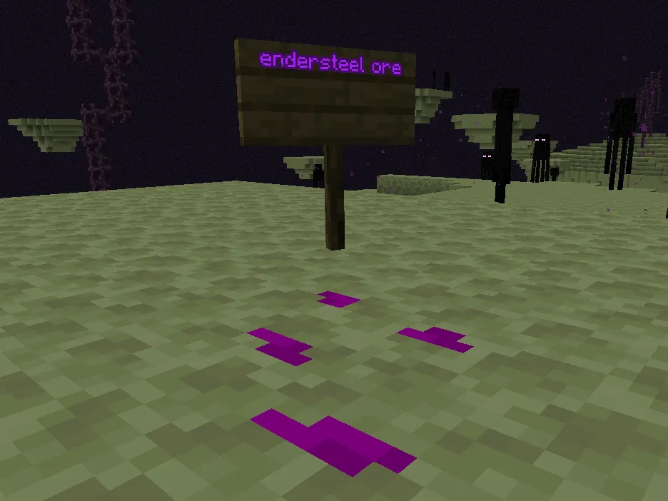 The End and The Nether, Моды, Minecraft