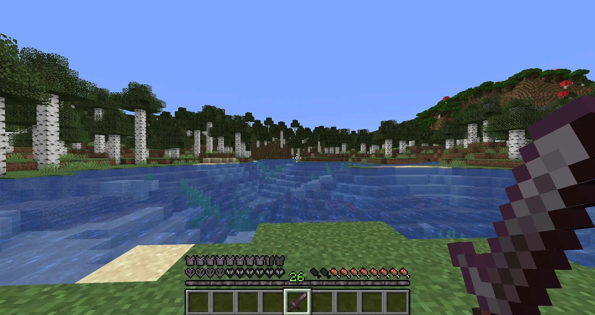 WASH3D's Netherite XP Bar, Текстуры, Minecraft