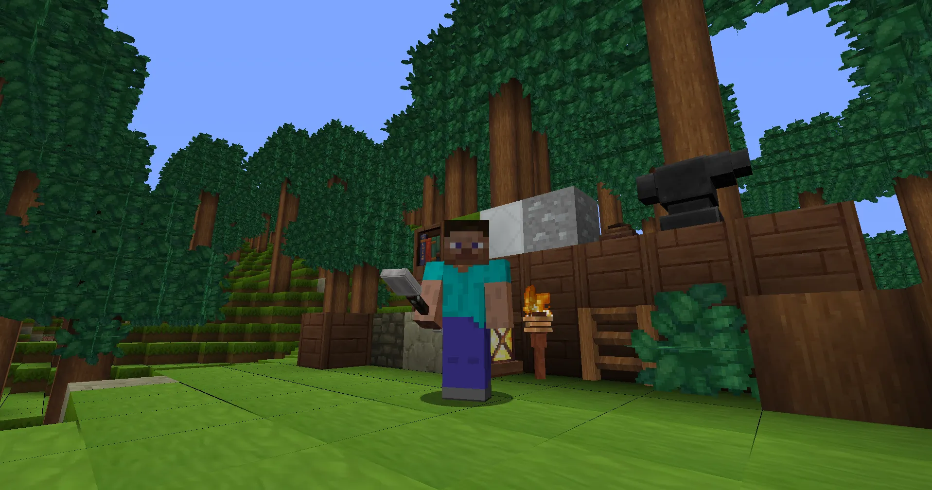 HyMod, Моды, Minecraft