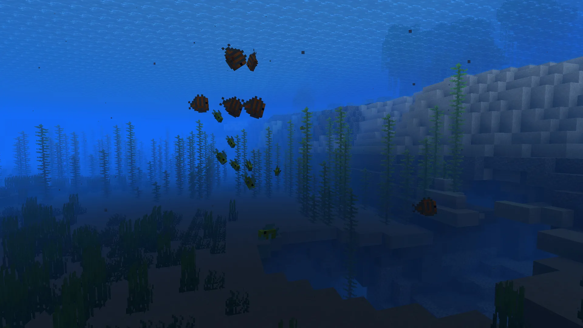 Shifted Lens, Моды, Minecraft