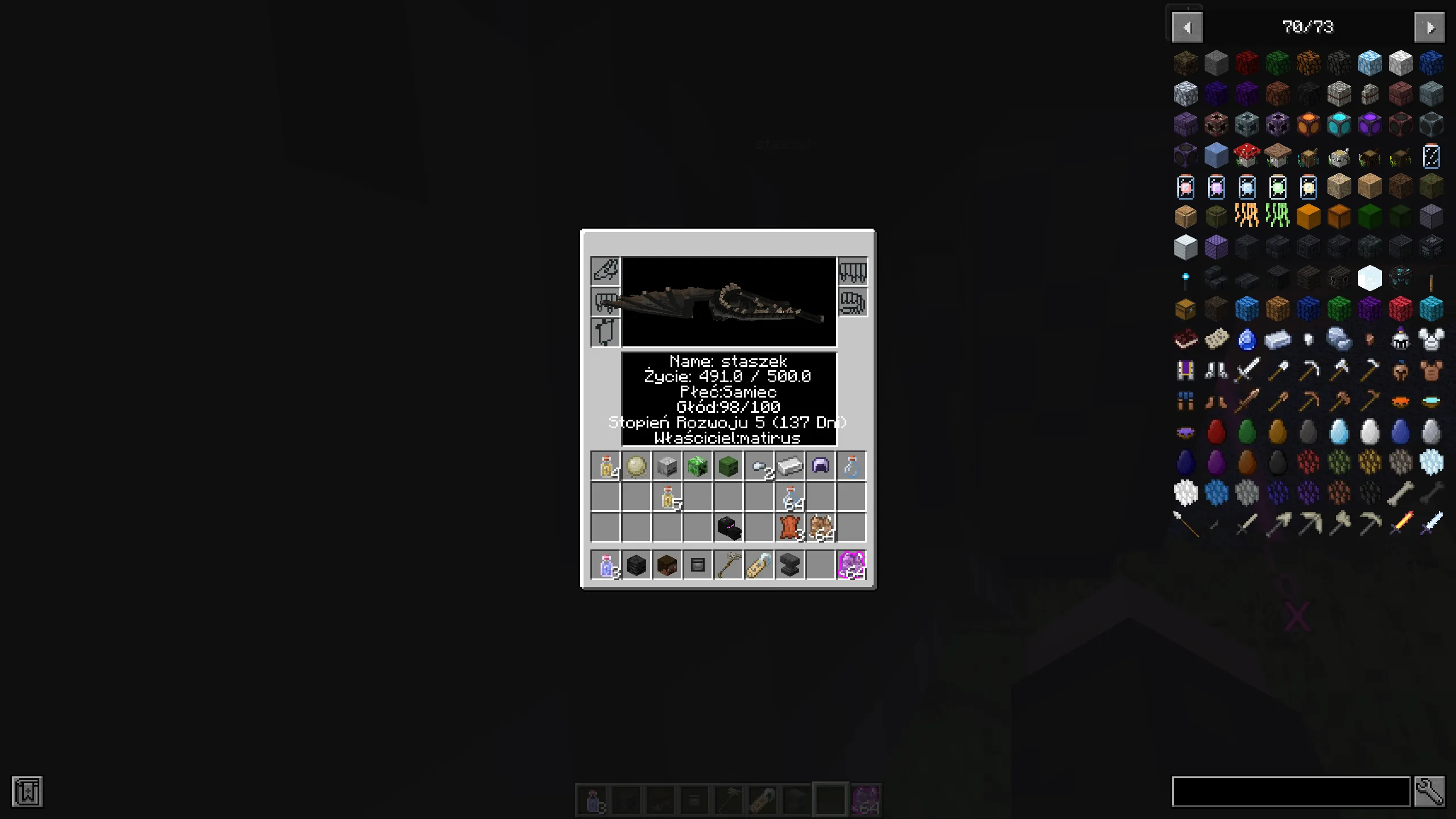 husaria — скриншот 4 (Модпаки, Minecraft)