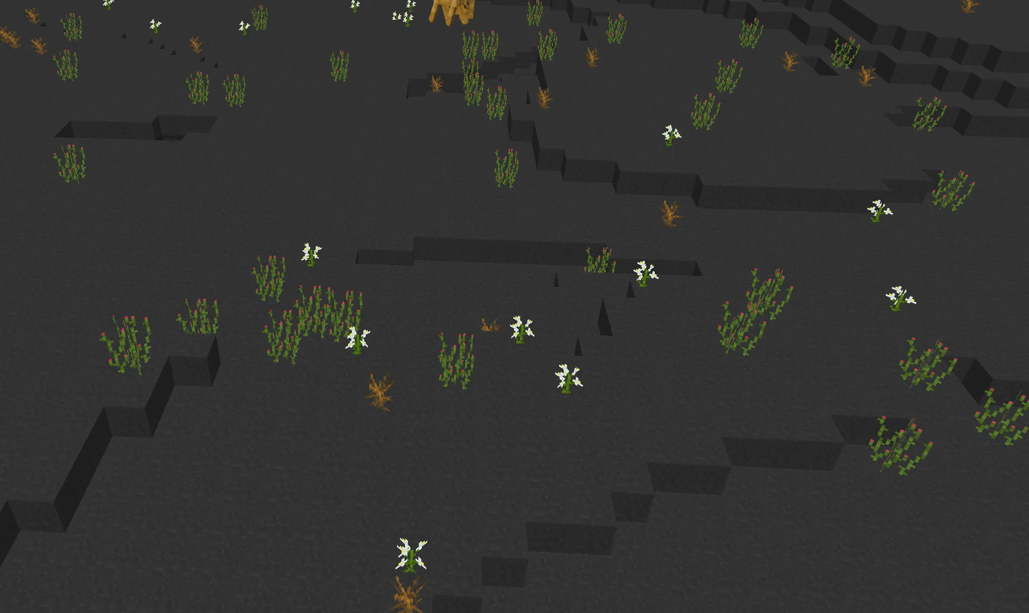 Desert's Bounty, Моды, Minecraft