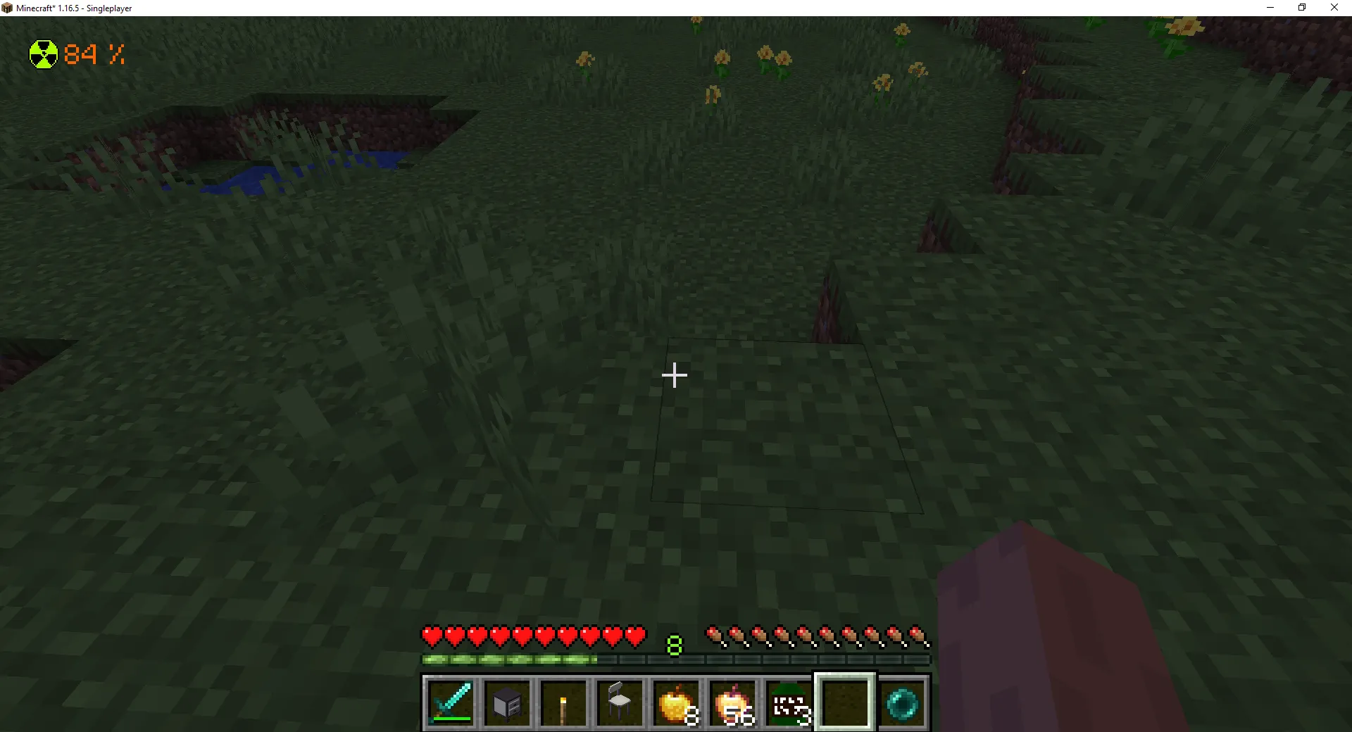 Radiated Infection, Моды, Minecraft