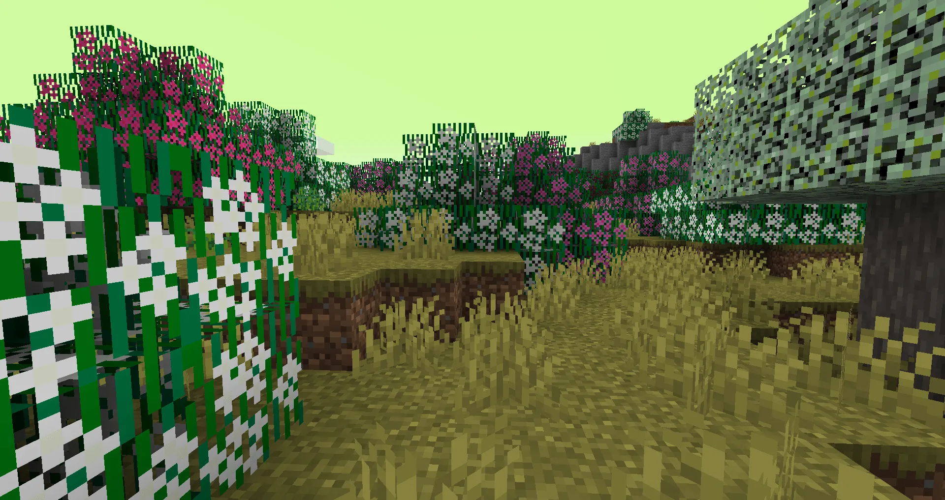 Caio Cesar's Biomes and Seasons, Моды, Minecraft