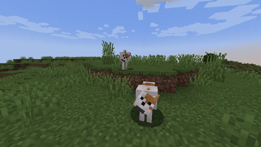 More Wolfs, Моды, Minecraft