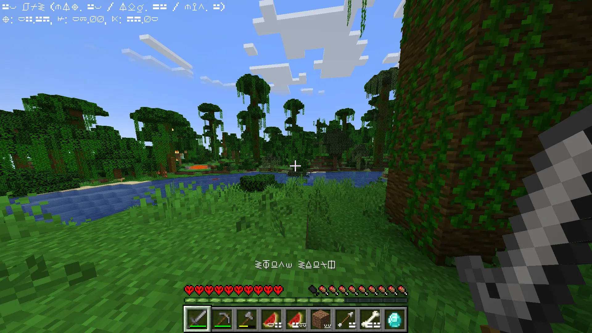 ESI Language Translation, Текстуры, Minecraft