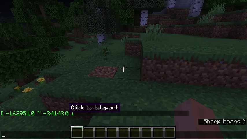 Coord Randomizer, Моды, Minecraft