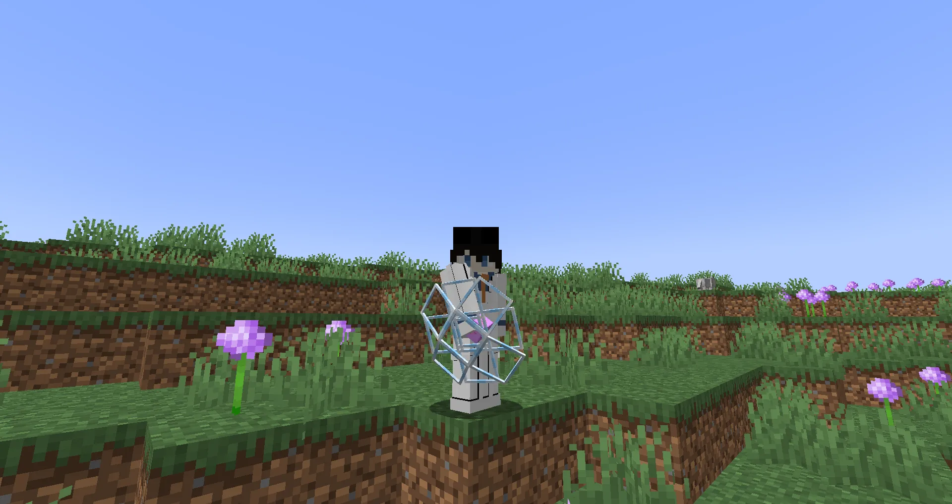 End Crystal shield — скриншот 1 (Текстуры, Minecraft)