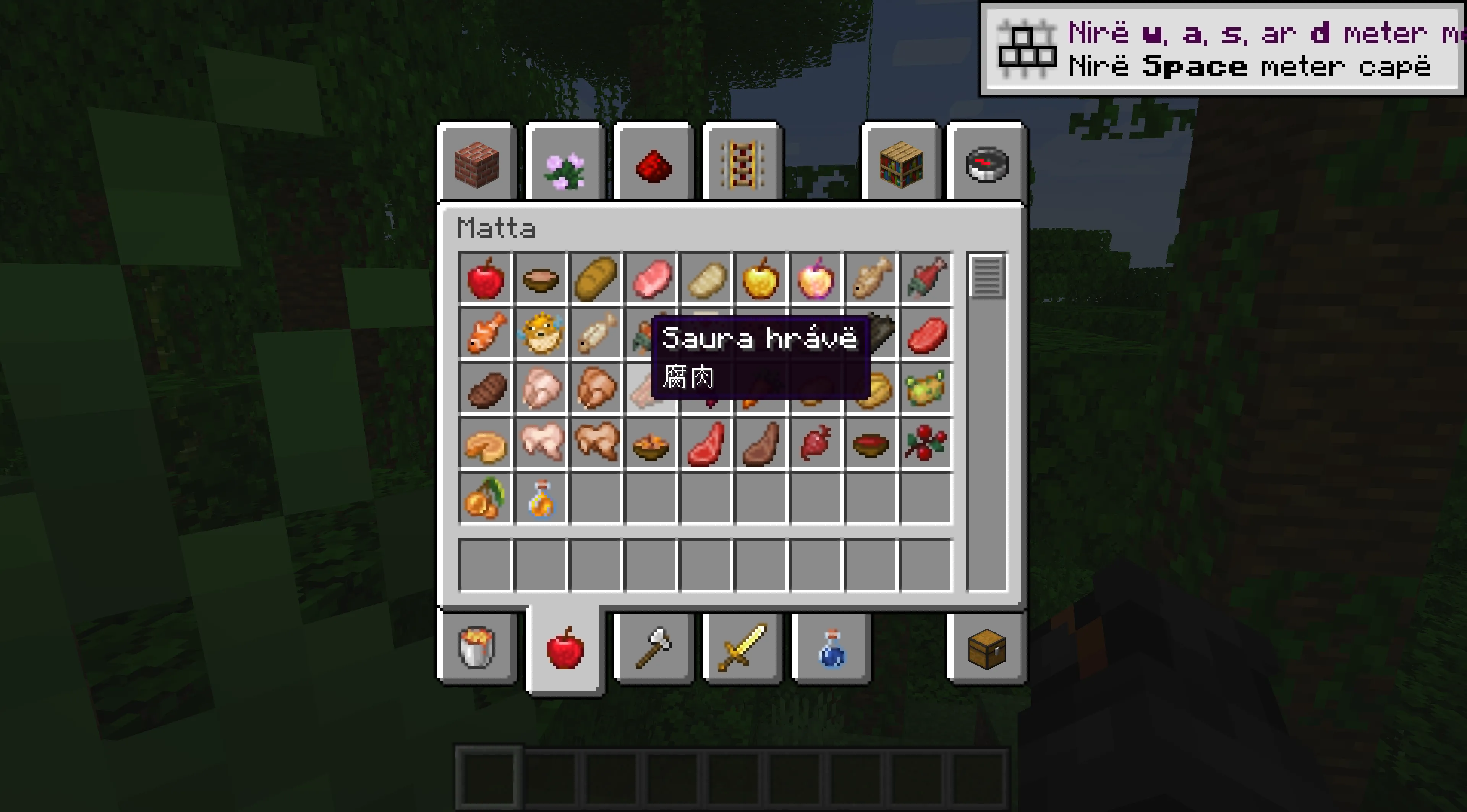 Bitems - Bilingual Items, Моды, Minecraft