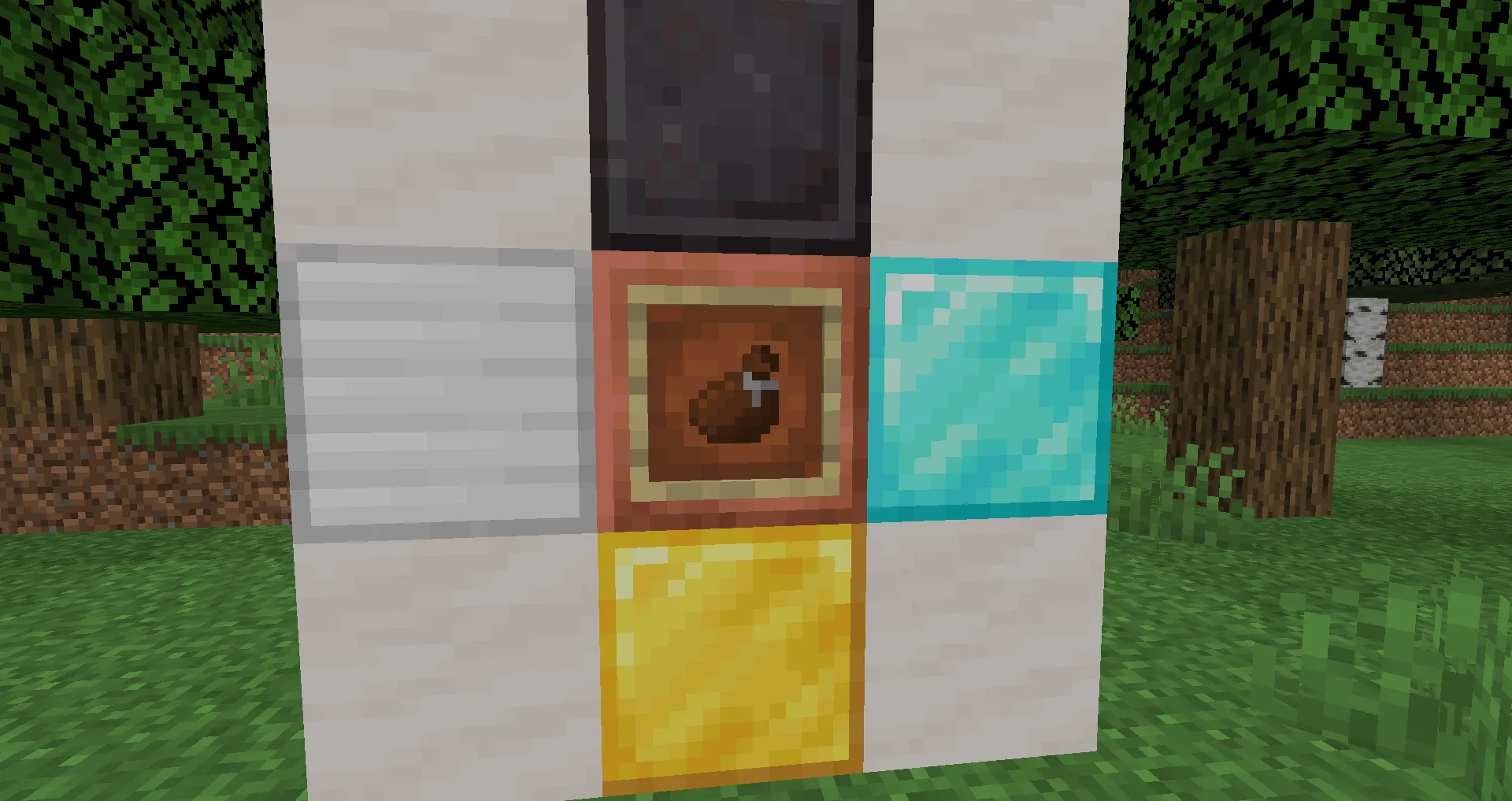 Ron's Coin's, Моды, Minecraft