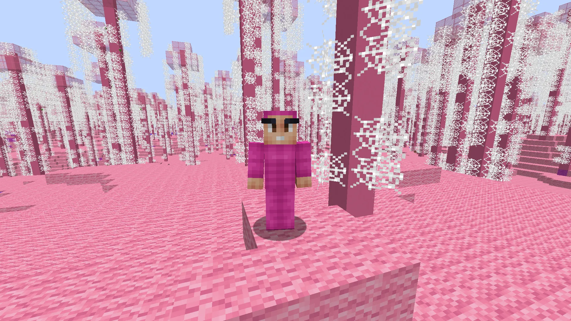 PINK GUY RULE EDITION, Моды, Minecraft