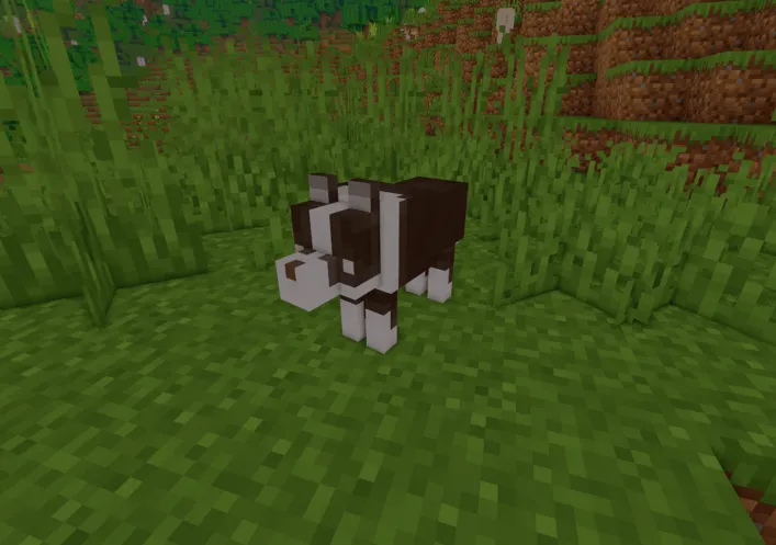 More Dogs Plus, Текстуры, Minecraft