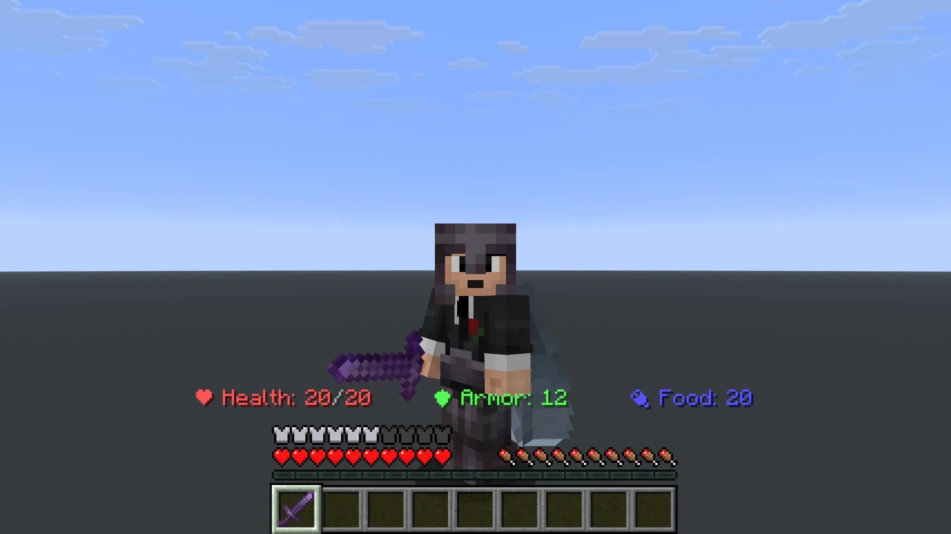 Professional Status Bar, Моды, Minecraft