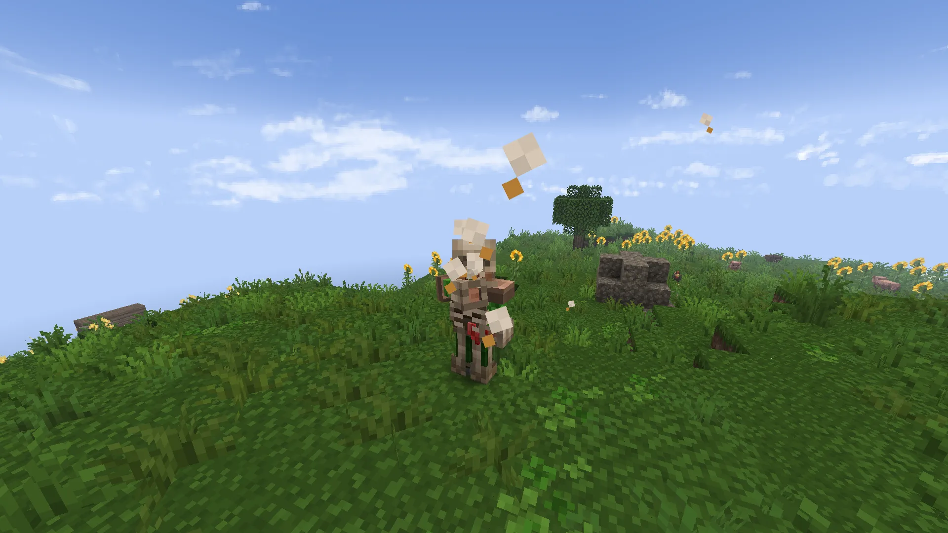 Excauldibur, Текстуры, Minecraft