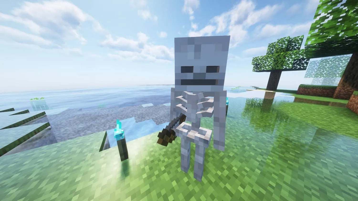 Realistic Skeletons, Текстуры, Minecraft