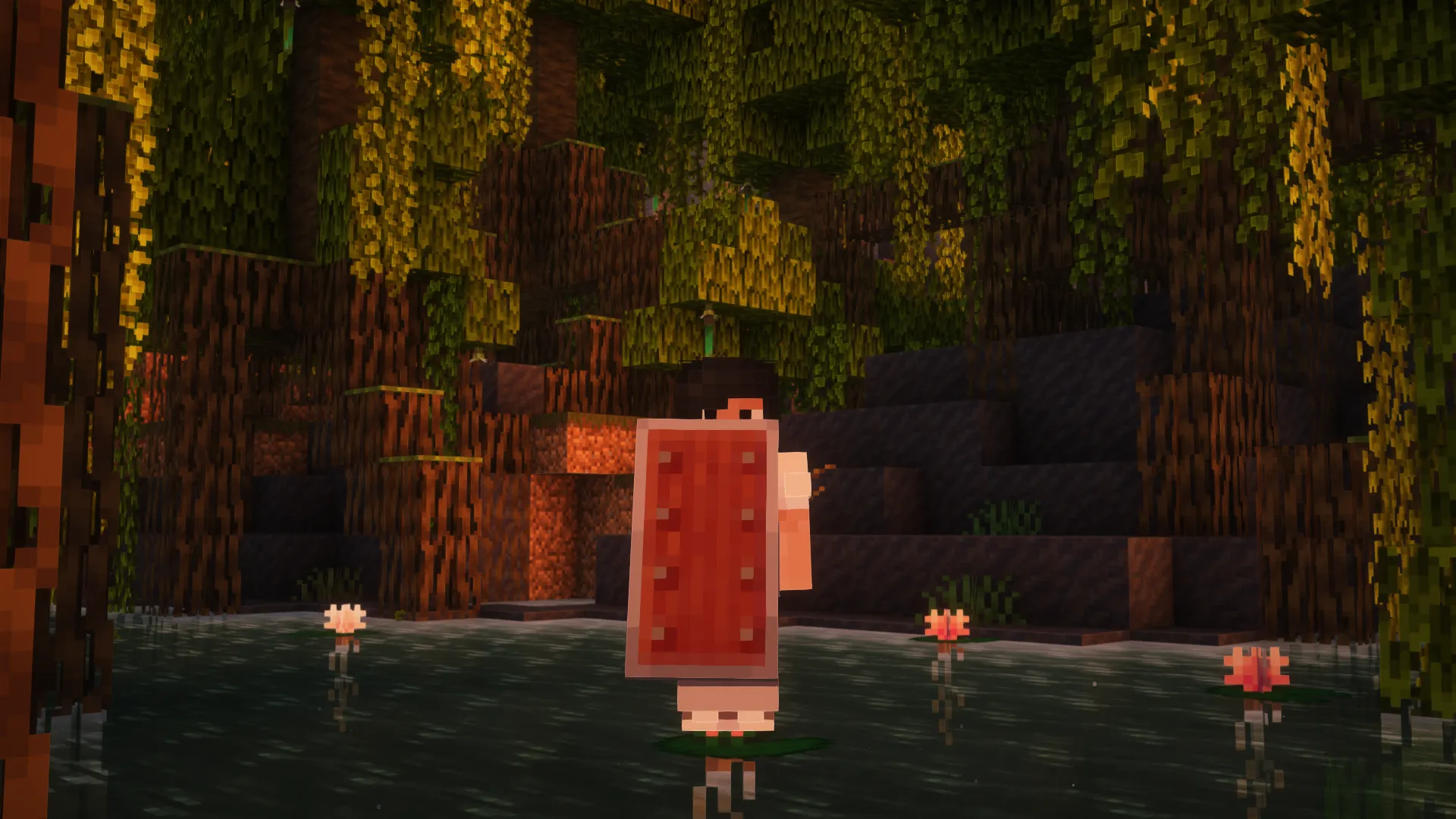 Woodtype Shields, Текстуры, Minecraft