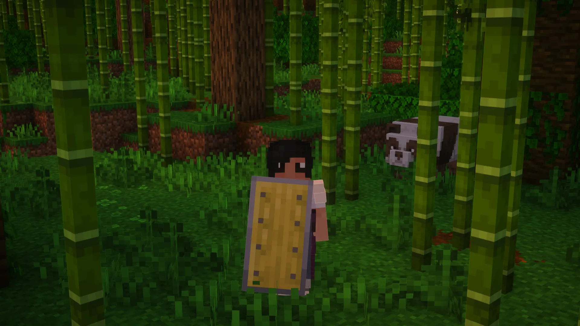Woodtype Shields, Текстуры, Minecraft