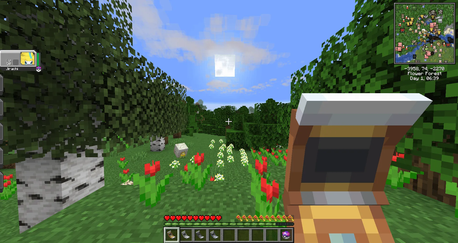 Cobblemon 3D Pokenavs, Текстуры, Minecraft