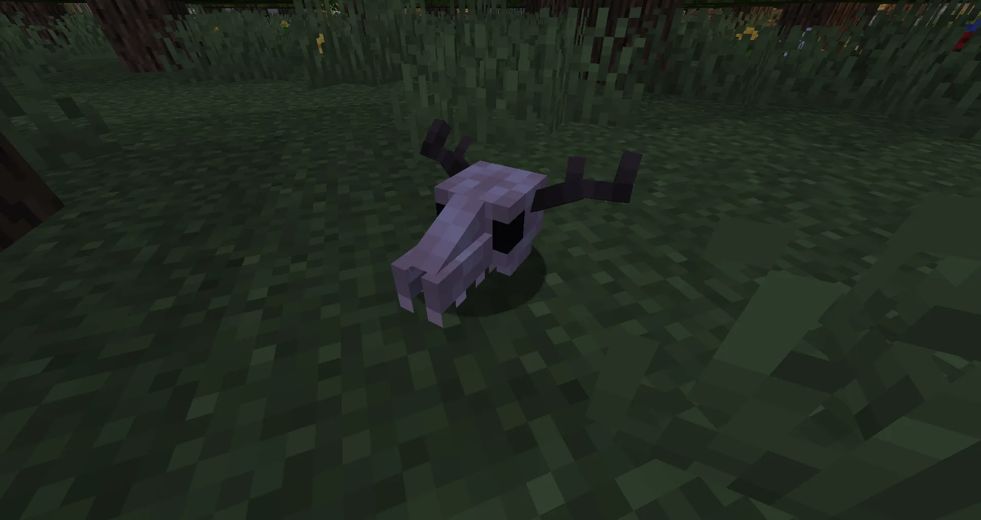 SCP-323, Wendigo Skull, Моды, Minecraft