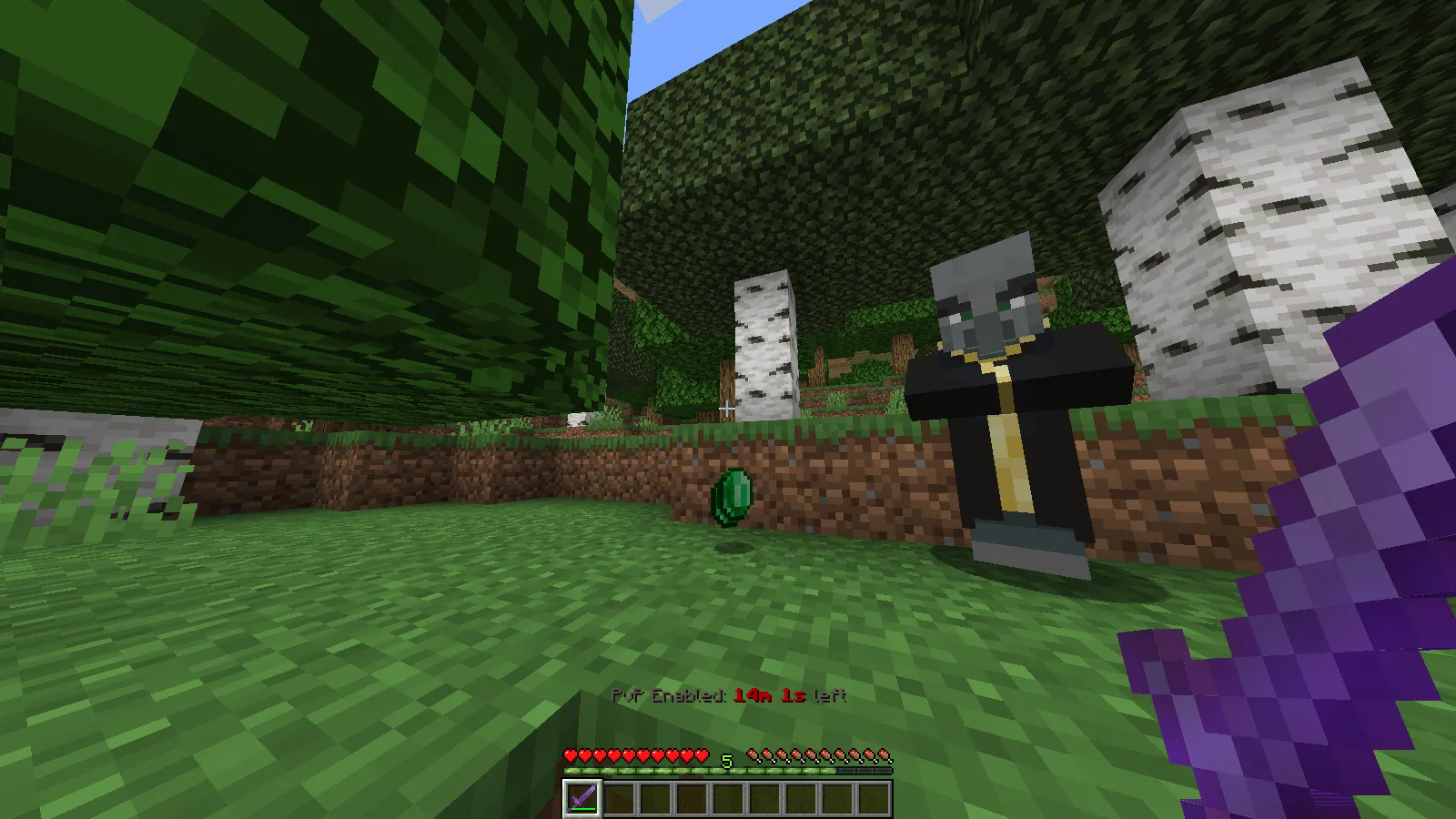 Friend or Foe (ForF), Моды, Minecraft