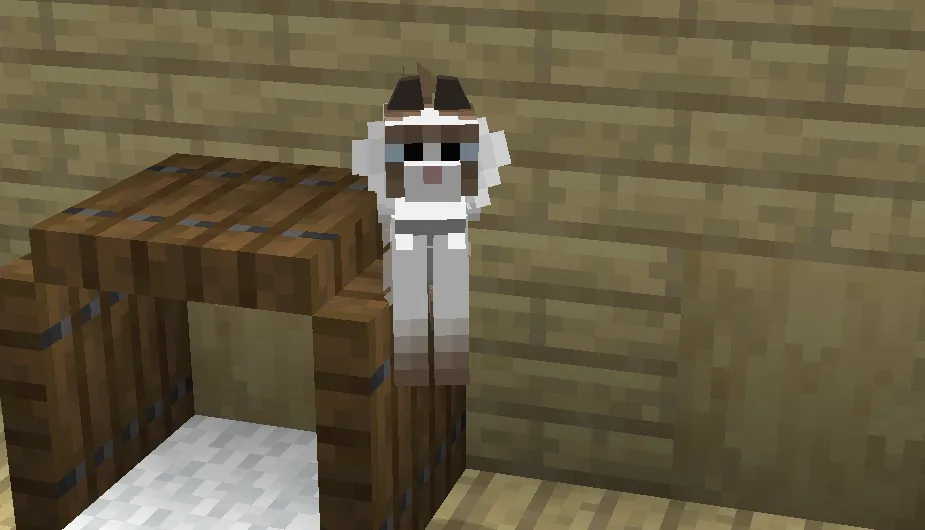 some cats and wild cats, Текстуры, Minecraft