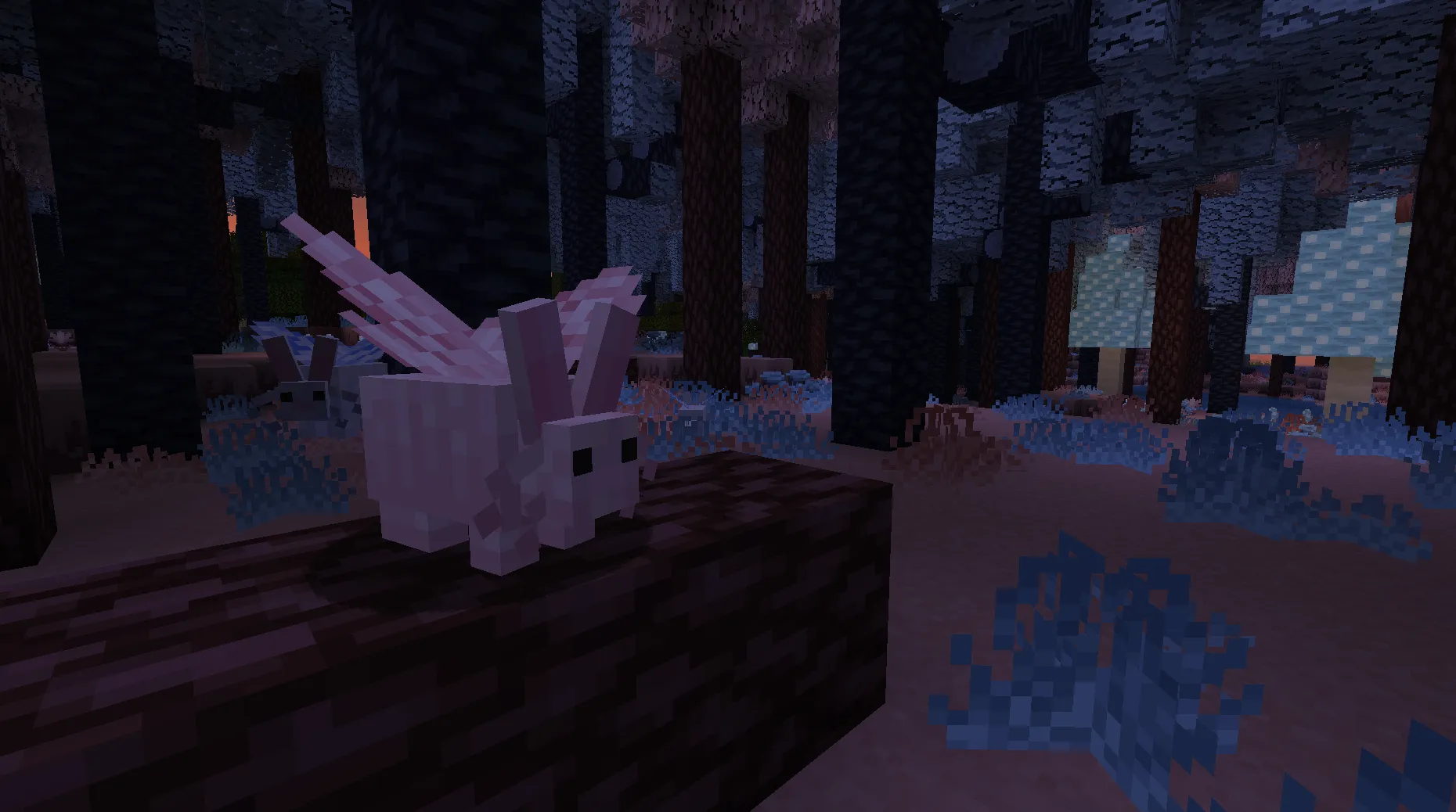 Buntsy, Моды, Minecraft