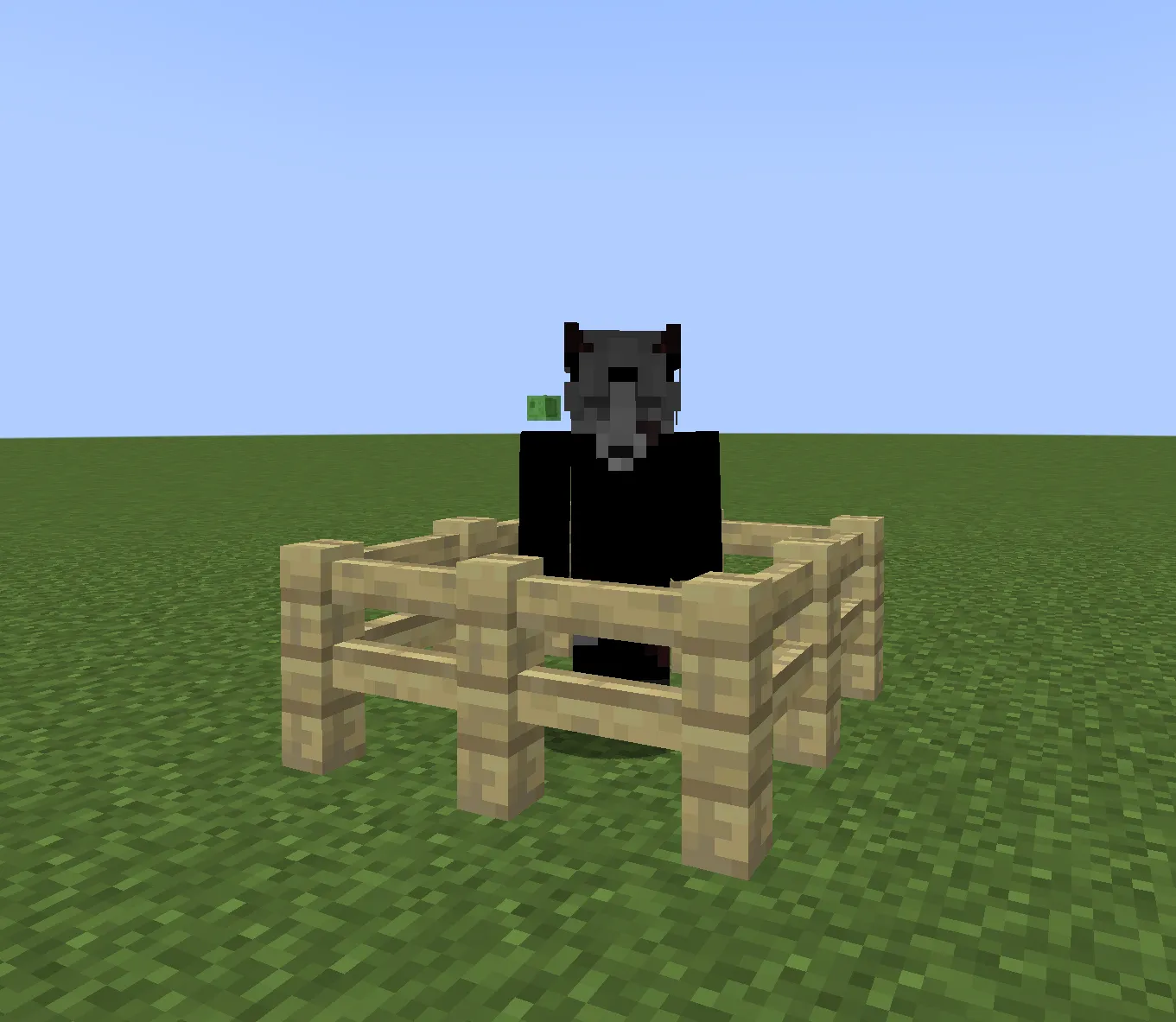 What The Craft (tum), Моды, Minecraft