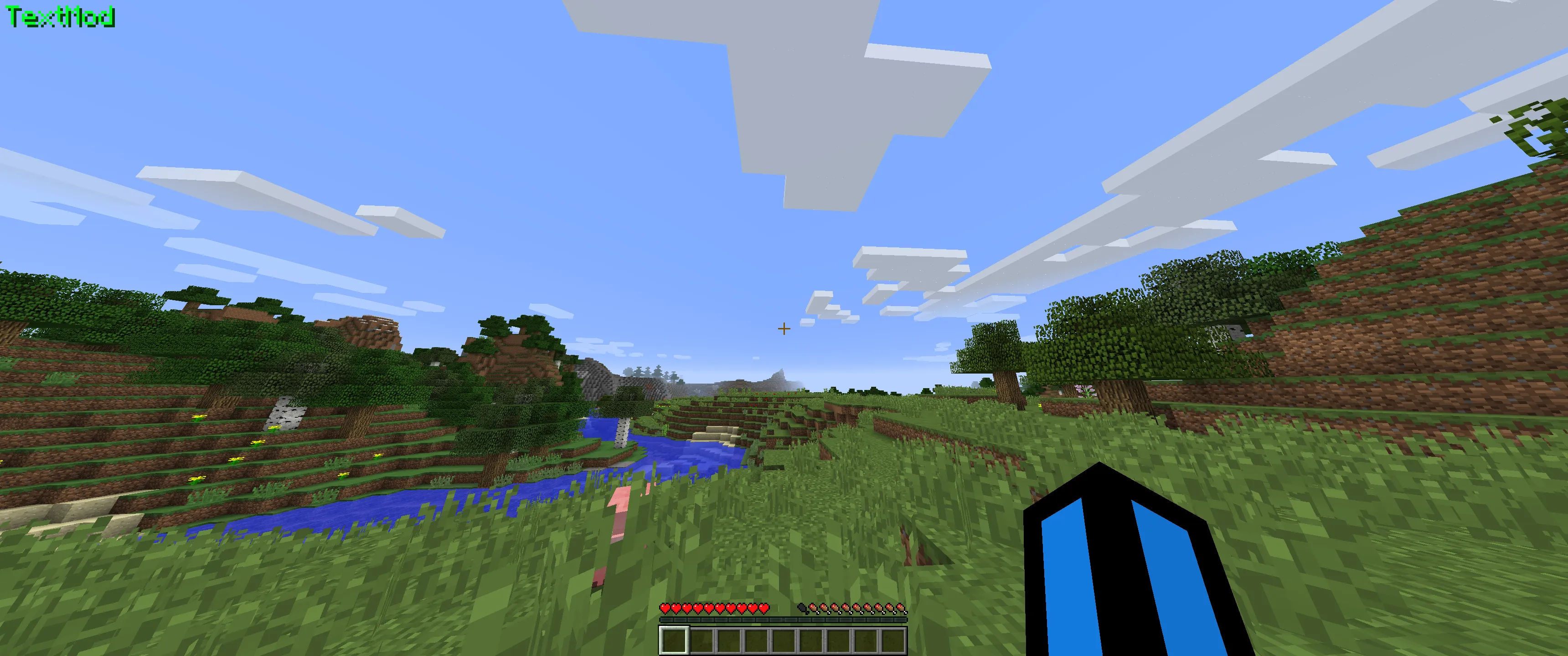 TextDisplay, Моды, Minecraft