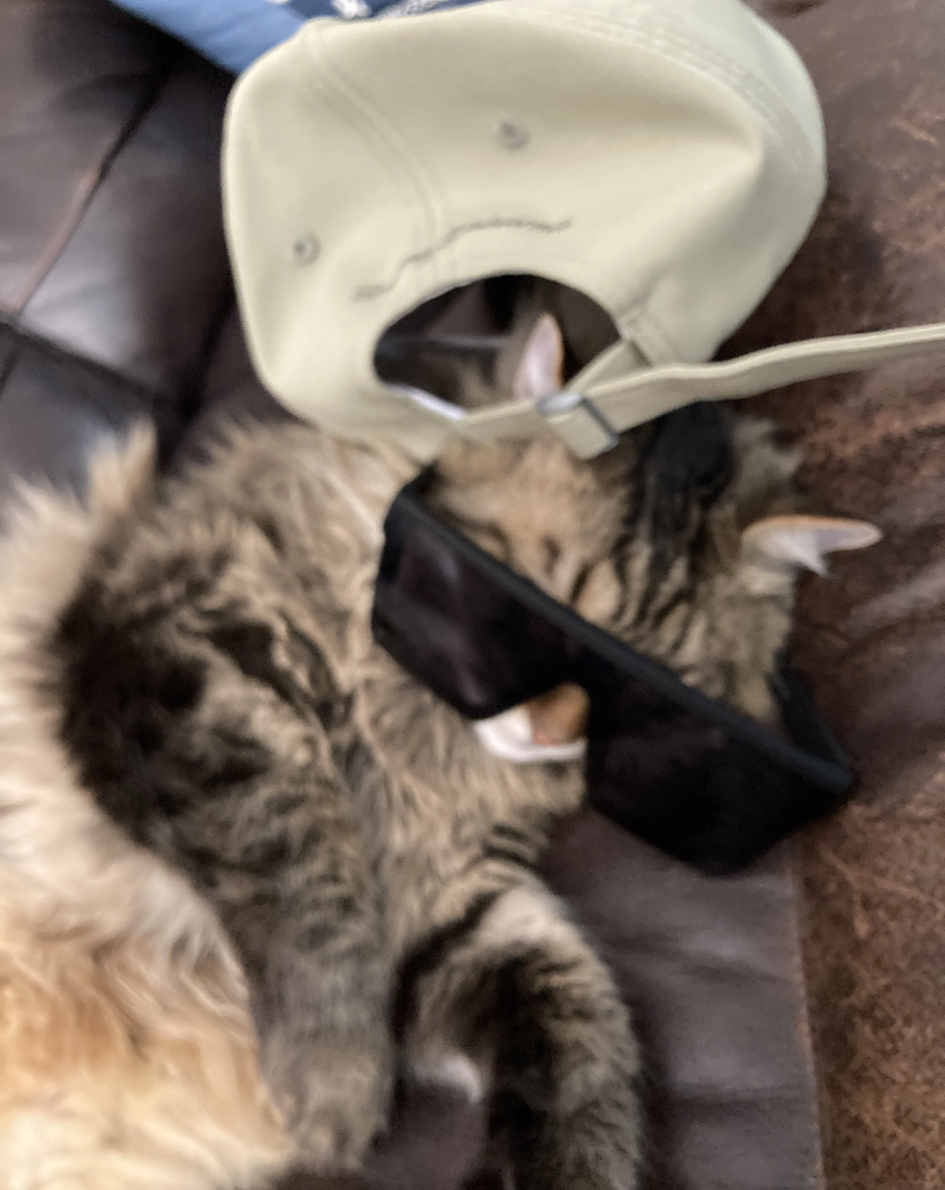 Percy The Cat, Модпаки, Minecraft